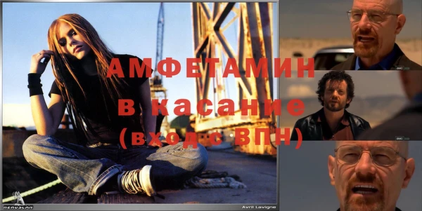 стаф Калининец